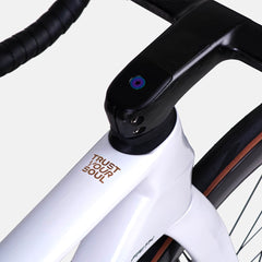 Nich Faith Road Bike, detail of seatpost and saddle junction, highlighting integrated design