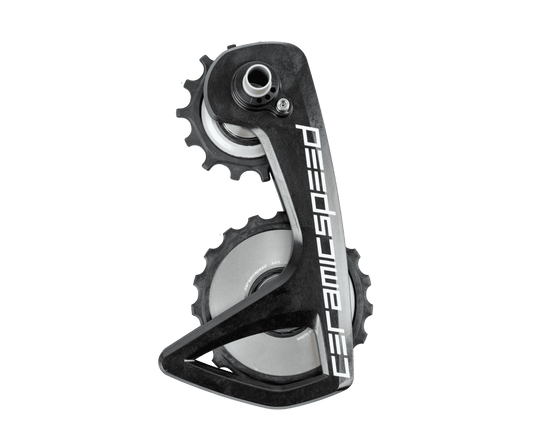 OSPW RS ALPHA TEAM Logo Campagnolo detail